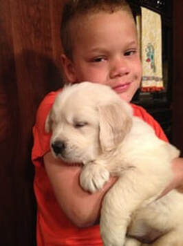 Little boy holding a young golden retriever puppy in his arms